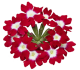 Flor roja
